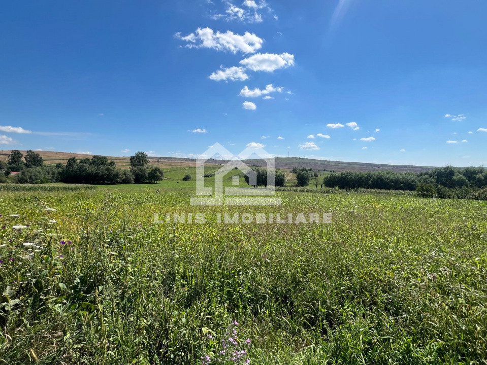 COMISION 0% Casa 74mp + 5945mp teren, zona centrala, Balcauti