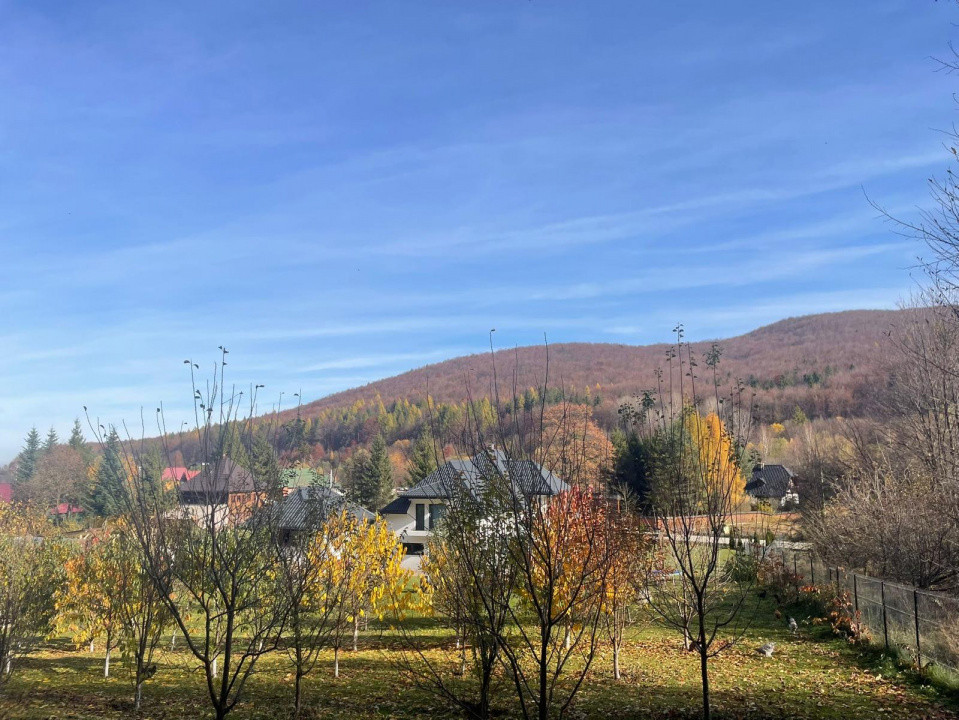 Vilă modernă P+1E cu foișor, beci și garaj – teren 3.000 m², finisaje premium